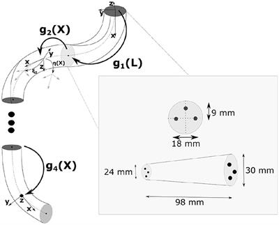First-Order Dynamic Modeling and Control of Soft Robots